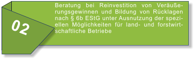 02 Beratung bei Reinvestition von Veräußerungsgewinnen und Bildung von Rücklagen nach § 6b EStG unter Ausnutzung der speziellen Möglichkeiten für land- und forstwirtschaftliche Betriebe