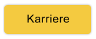 Karriere